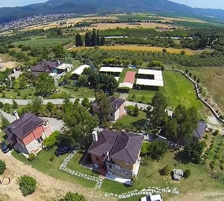 Ktima Papadopoulou Aparthotel Krioneri  Luaran gambar